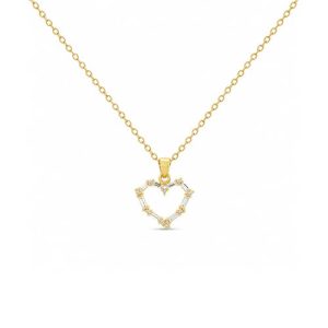 Collar Shinny